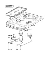 H10 Hob
