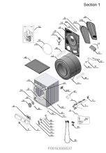 Section
