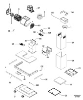Section