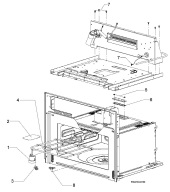 Section