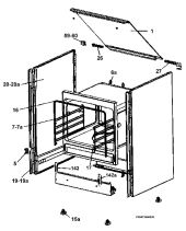 Section