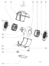Section