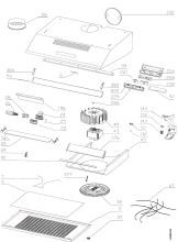 Section