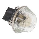 Bulb & Glass Lens