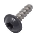 Screw
