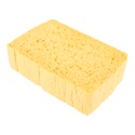 Sponge