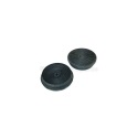 Carbon Filters, Pack of 2