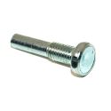 Door Bottom Hinge Pin