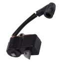 Ignition Module
