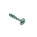 Thread-forming tap. Screw security TORX-T20