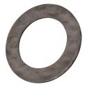 Friction Washer