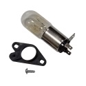 Bulb Lamp & Base