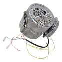 Motor-fan