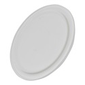 Glass Panel Plate 