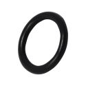 O Ring Seal