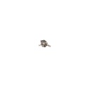 Motor (Welling Kit)