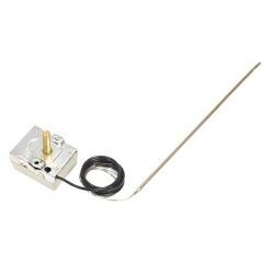 ELECTRIC THERMOSTAT