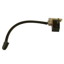 Ignition Module