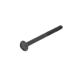 Screw