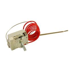 Electric thermostat