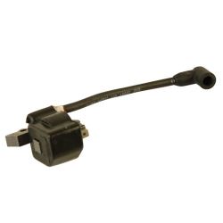 Ignition Module
