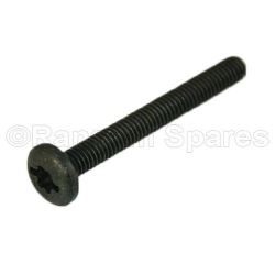 Screw
