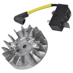 Ignition Module