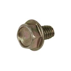 Screw