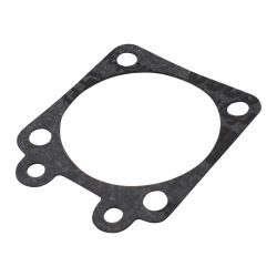 Gasket, Metering Side
