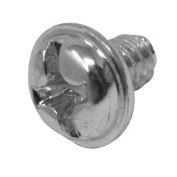 Screw