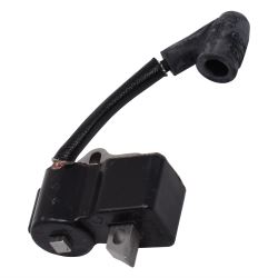 Ignition Module