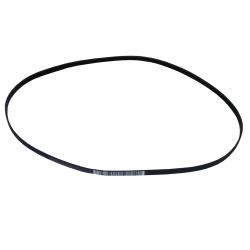 Drive Belt