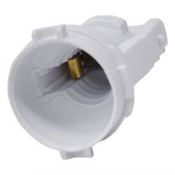 Lamp Bulb Light Socket