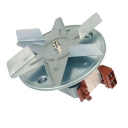 Fan & Motor 