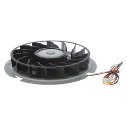 Fan and Motor