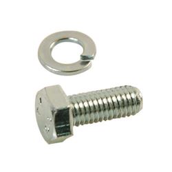 Screw and washer assembly