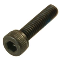 Screw