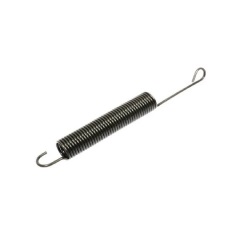 Door Hinge Spring 170mm