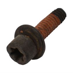 Screw