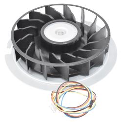 Fan Motor