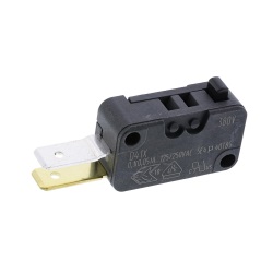 Microswitch