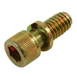 Screw