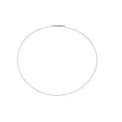 Door Seal Spring Ring Clamp