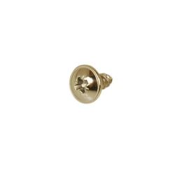 Rear Panel Bolt Screw 
